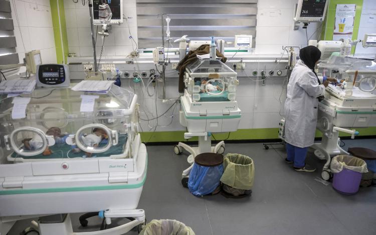 في مجمع ناصر الطبي، خانيونس، جنوب قطاع غزة | 7 أيلول 2026 | فرانس برس